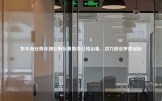 华丰新安青年创业孵化基地办公楼出租，助力创业梦想起航