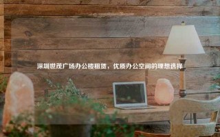 深圳世茂广场办公楼租赁，优质办公空间的理想选择