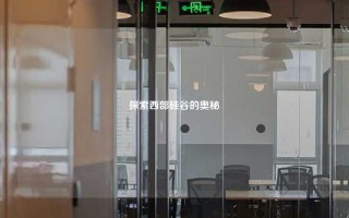 探索西部硅谷的奥秘