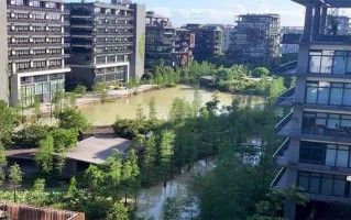 泰华梧桐岛科技创新园