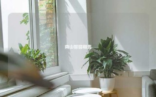 南山智园租售