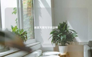迪温大厦写字间出租