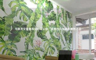 马家龙文化体育中心办公楼，优质办公空间的理想之选