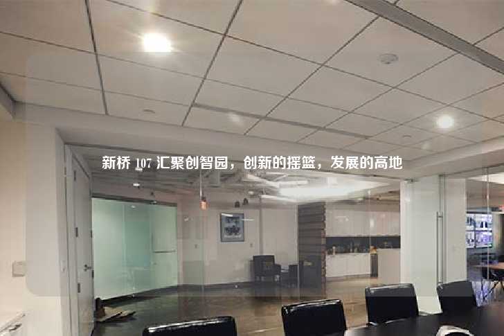 新桥 107 汇聚创智园，创新的摇篮，发展的高地-第1张图片-写字楼租售网